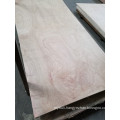 9mm Bintangor/Red Meranti/Okoume Plywood, Commercial Plywood